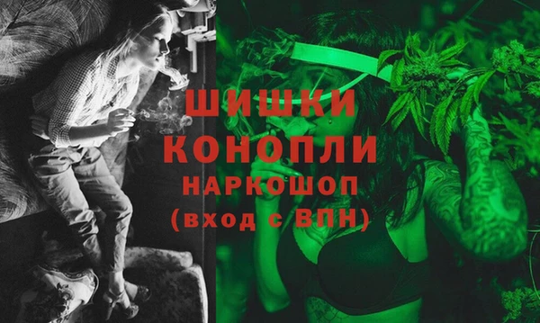 бошки Богданович