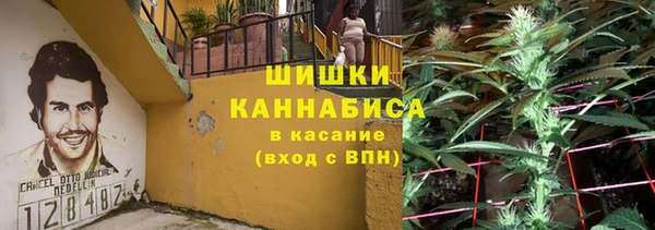 Альфа ПВП Богородск